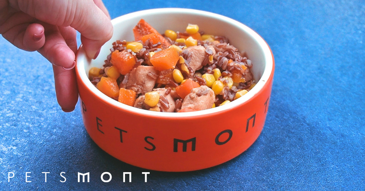 Homemade Dog Food Recipes Vet Approved Petsmont